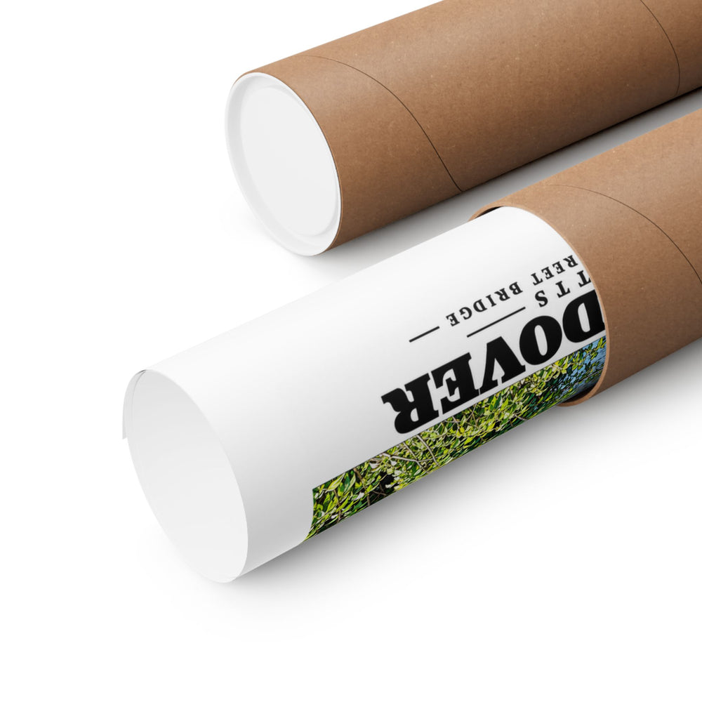 Partly rolled poster extending from a cardboard tube with partial Dover lettering and a narrow strip of the printed scene visible
