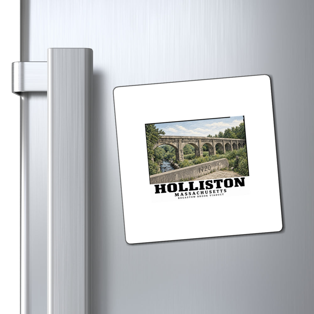 Bogastow Brook Viaduct native survey image - negative number verification required 4 in Magnet - Charles River