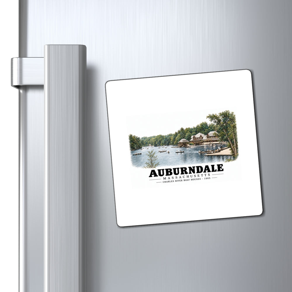 Norumbega Park shore, Charles River Lakes District, Auburndale 4 in Magnet - Charles River