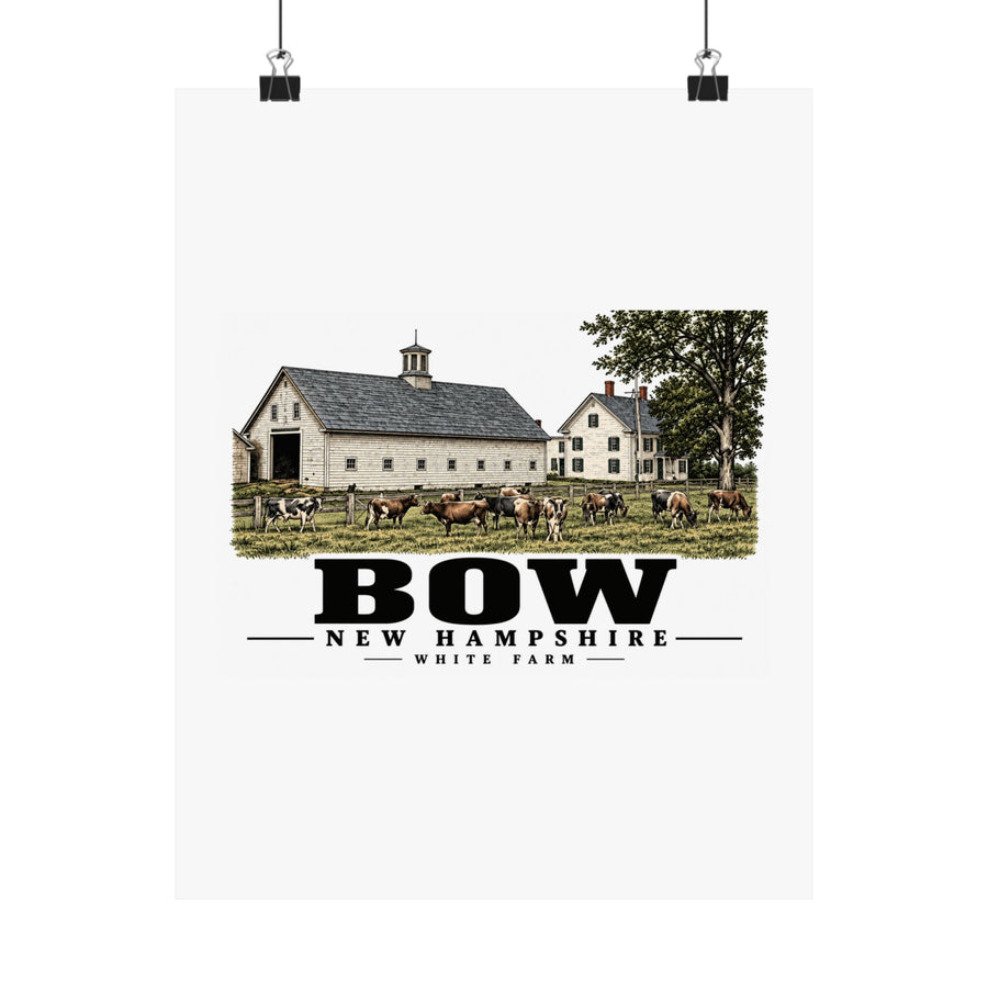 11 x 14 front of White Farm Jersey herd and barns matte poster, Bow, New Hampshire.